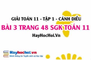 Giải bài 3 trang 48 Toán 11 tập 1 SGK Cánh Diều